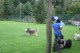 Thumbs/tn_Bild 023.jpg